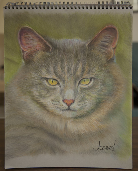 Cat - Pastel Pencil Photo Study - Copyright 2017, Jephyr (Jeff Curtis), All Rights Reserved